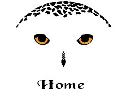 owlhome.gif (2235 bytes) width=