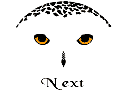 owlback.gif (2229 bytes)