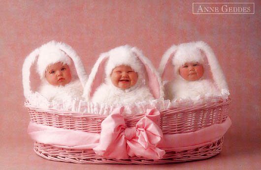 A basket of baby bunnies