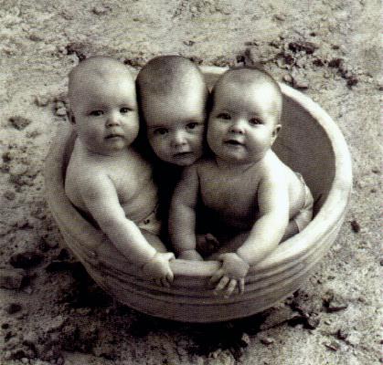 Babies in a bowl