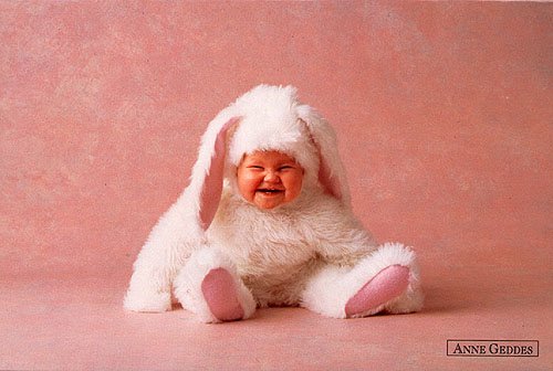 Laughing baby bunny