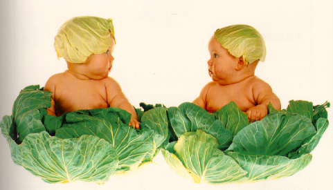 The original Cabbage Patch Kids!