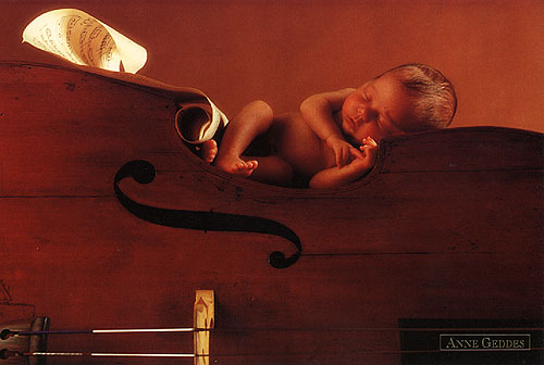 Baby sleeping on a cello