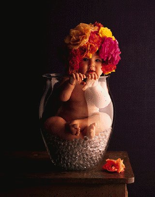 Roses baby in vase