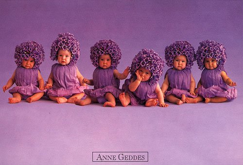 Violet girls