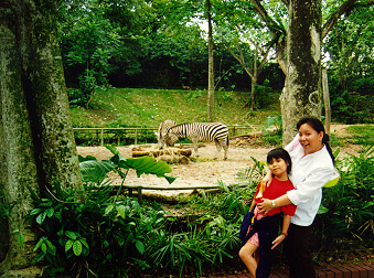 Singapore Zoo