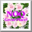 Great Award from NOQ