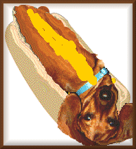 Meggie Dog...with mustard