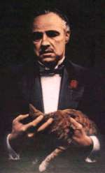 Marlon Brando as Don Vito Corleone