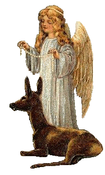 Angel of Animals