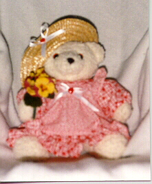 Pansy Bear