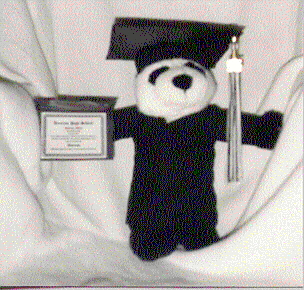 Graduation Bear