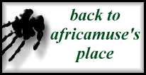 back to africamuse's place