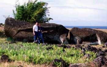 scores, maybe hundreds, of moai lie abandoned on the way from the quarry to the shore