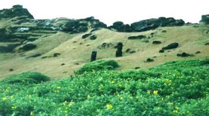 moais embedded in the inner slopes of Rano Raraku