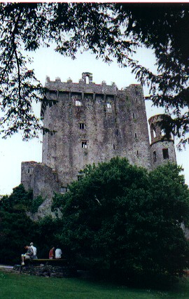 An attempt to give you an impression of how high the damn Stone is - at the very top of Blarney Castle!