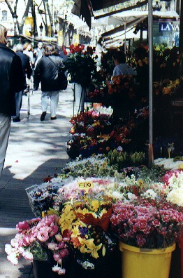 The flower market in Barcelona's famous 'La Rambla'