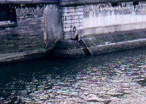 A lone saxophonist practising on the banks of the Seine