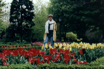 Tulips in Madrid's botanical gardens