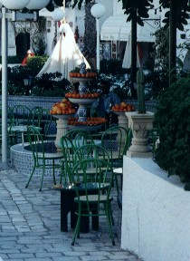 Oranges in Port El Kantaoui