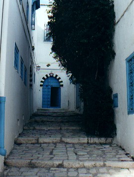 Blue and white Sidi Bou Said