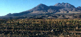 Agricultural terraces on the altiplano