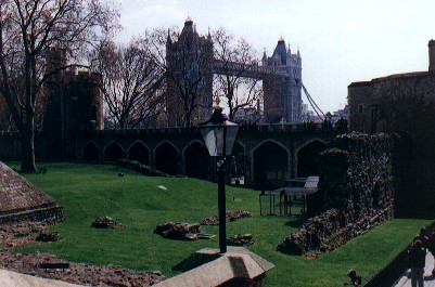 The Tower's ravens, overlooked by Tower Bridge