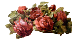 rosebunch