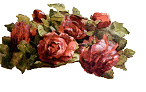 rosebunch