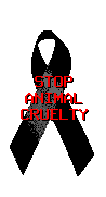 stop animal cruelty