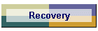 Recovery