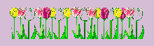 Tulips