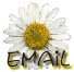 E-mail Me