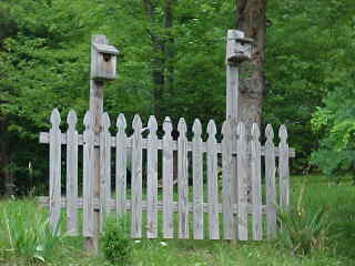 mtnlvr11's bird houses