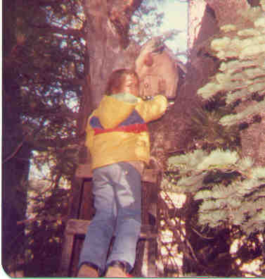 Michelle at Tajar's Tree