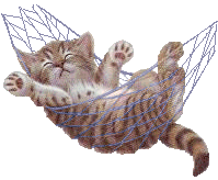 cat_hammock.gif (15374 bytes)