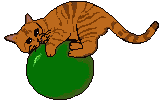 catball.gif (2693 bytes)