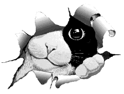 clipart_animals_cats_060.gif (8542 bytes)