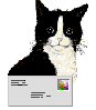 mailcat.gif (1606 bytes)