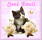 Send Email