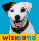 Wishbone