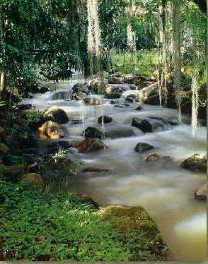 Parque Gallineral