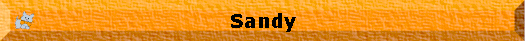  Sandy 