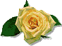 rosebtn.gif (2369 bytes)