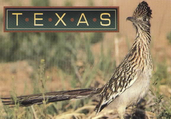 Texas.jpg (42674 bytes)