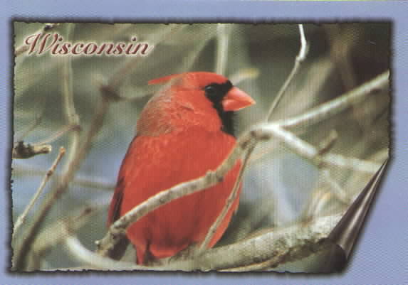 cardinal.jpg (26748 bytes)