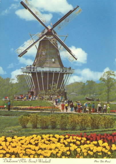 swanwindmill.jpg (63502 bytes)