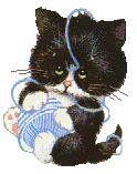 Kitten playing with yarn