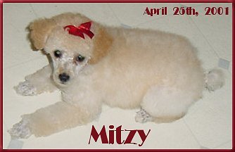 Mitzy