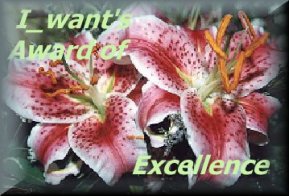 I_Want's excellence Award